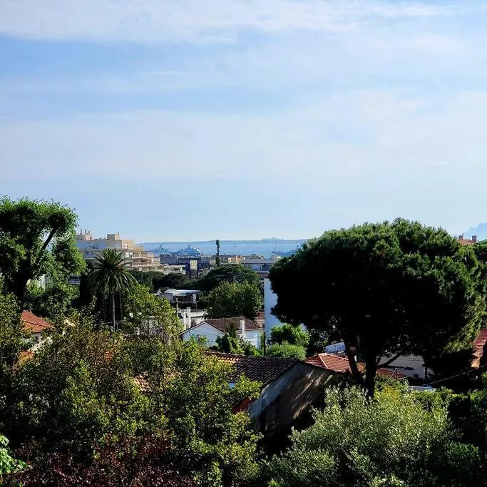 Grand Studio Localisation Ideale Antibes France